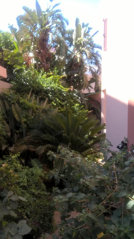 Rosmarino Apartamento Kíssamos Exterior foto